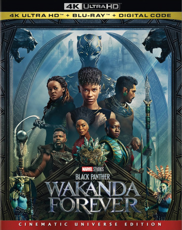 Black Panther : Wakanda Forever MULTi 4K ULTRA HD x265 2022