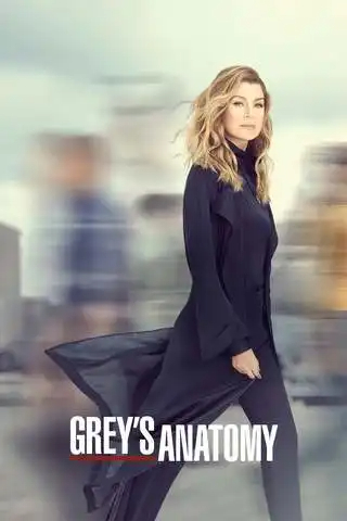 Grey's Anatomy S16E01 VOSTFR HDTV