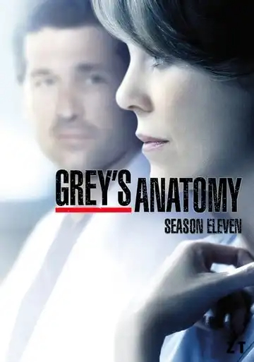 Grey's Anatomy Saison 11 FRENCH HDTV
