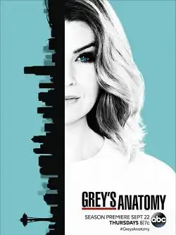 Grey's Anatomy Saison 13 FRENCH HDTV