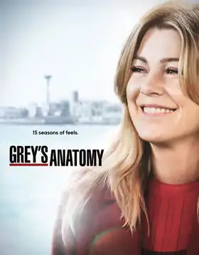 Grey's Anatomy Saison 15 FRENCH HDTV