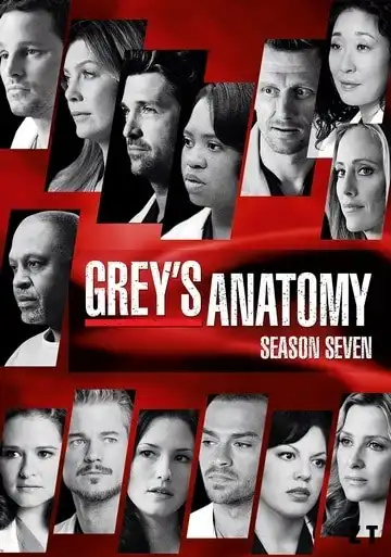 Grey's Anatomy Saison 7 FRENCH HDTV