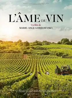 L'Ã‚me du vin FRENCH WEBRIP 1080p 2020
