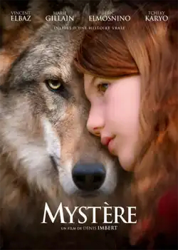 mystère FRENCH BluRay 720p 2022