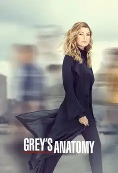 pègreys Anatomy S16E07 VOSTFR HDTV